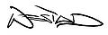 Westad signature.jpg