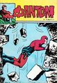 Fantom #43