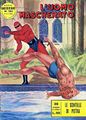 Avventure Americane – L'Uomo Mascherato 153 (Fratelli Spada) cover